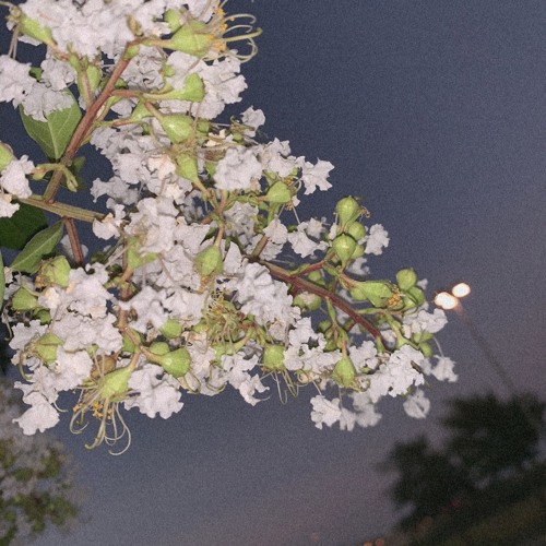 Meaningless V2 (prod. kubsy beats)