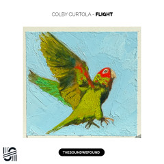 Flight
