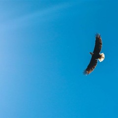 عندما لا تأتي الاستجابة