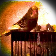 New Beginnings: Part 2 - Remembrance