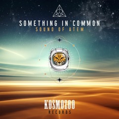 Sound of ATEM - Something In Common [Kosmozoo Records]