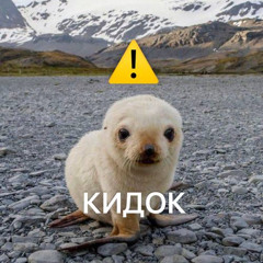 шабильник