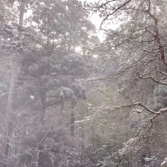 storykoko - our memories in a reverse *alt version* [prod myriad & hvvean]