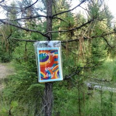 Cultivating Joy: 5 Myths, 5 Practices & 5 Discoveries