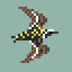 Pluvialis fulva