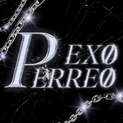 EXØPERREØ⛓️‍💥