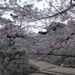 вышел потуборошить