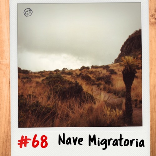 #68 ☆ Igelkarussell ☆ Nave Migratoria 🐆