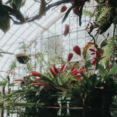 The Greenhouse