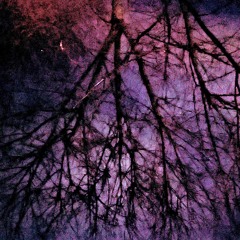 Convalescence