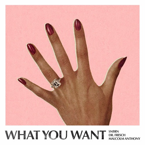 SNBRN, Dr. Fresch, Malcolm Anthony - What You Want