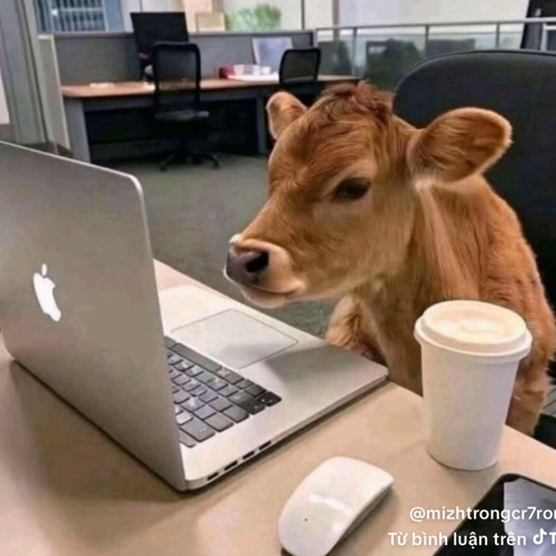 Bông Hoa Nở Muộn Remix (Bản Hot TikTok) - Cả Đời Anh Không Dám Mơ Chỉ Vì Mình Đi Quá Xa Remix