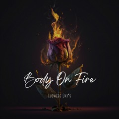 Ludweeg Dax's - Body On Fire (Radio Edit)