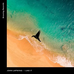 John Lapwing - I Like It (Original Mix)