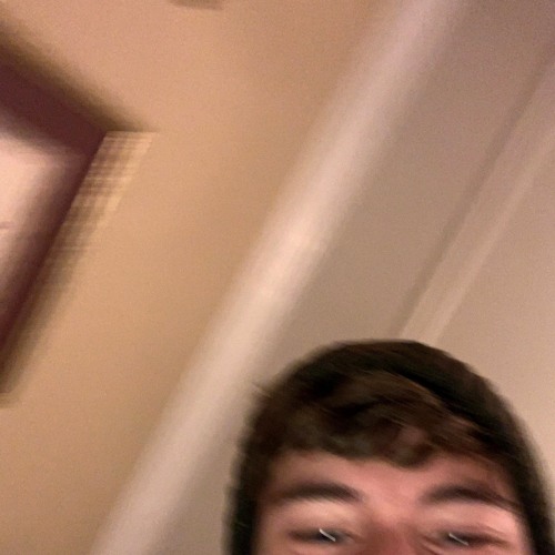 lil on level precalc v2