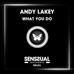 Andy Lakey - What You Do (Radio Edit)