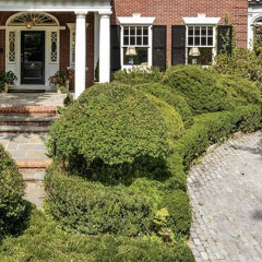 Surah Maryam-Sheikh Mansour al Salimi