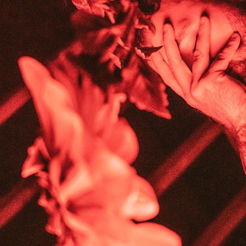 🌹