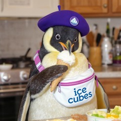 Penguin ( REmIX I.C Edition )