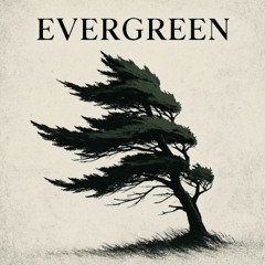 Evergreen