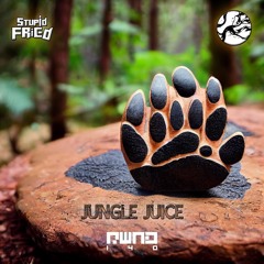 Stupid Fried & Thane Of Earth - Jungle Juice