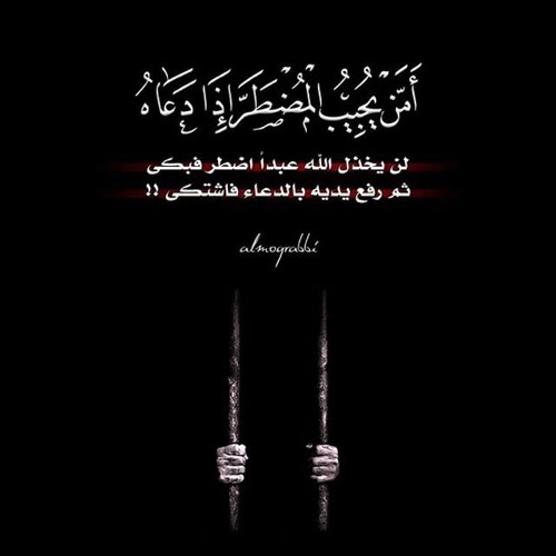 تلاوة رائعة لخواتيم سورة النمل | للشيخ د.بندر بليله | فجر الإثنين ١-٤-١٤٤٢هـ (1)