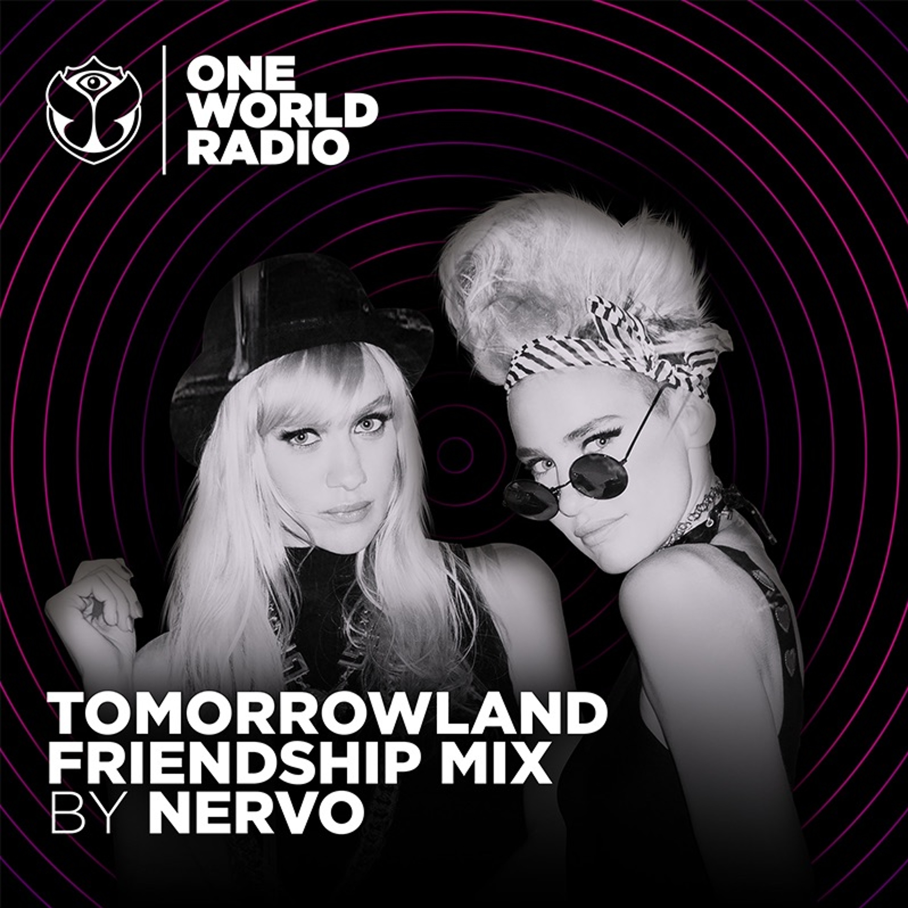 Tomorrowland Friendship Mix