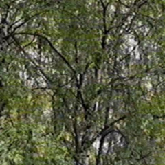 im feeling miserable