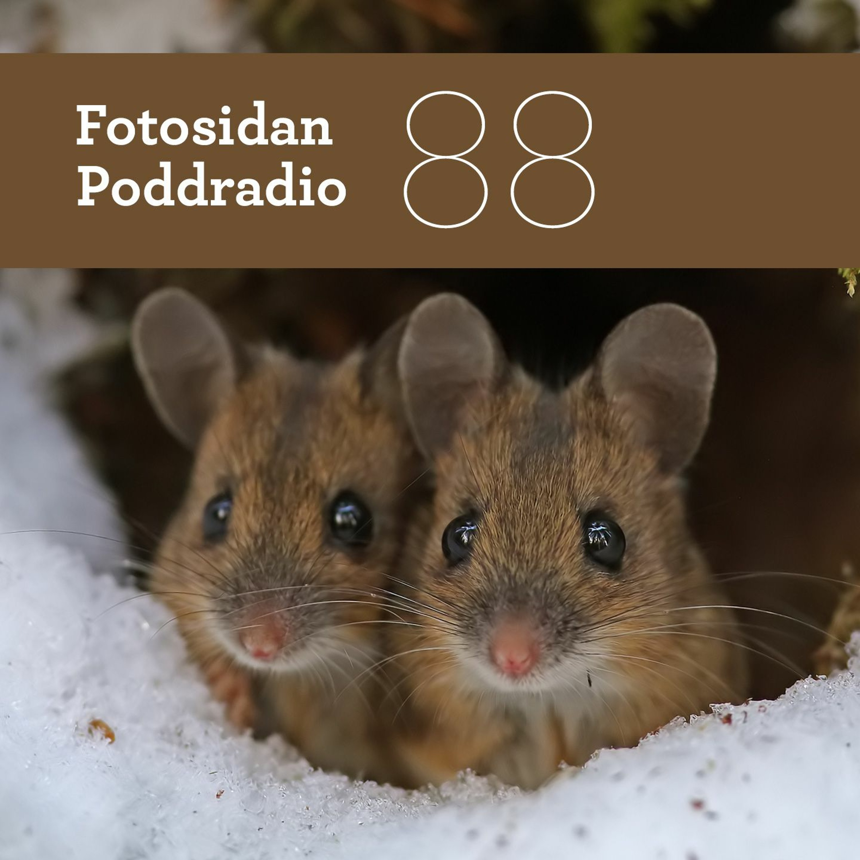 Fotosidan Poddradio