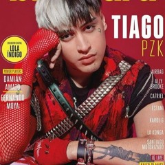 Tiago PZK IA - Perfect
