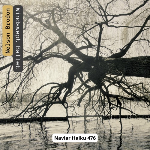 Nelson Brodon - Windswept Ballet [Naviar Haiku 476]