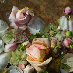 because 2025-04-08 2325