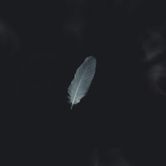 Reaping What You've Sown - demo