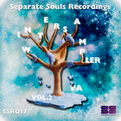 Sensual Deep - New Moon (Original Mix)