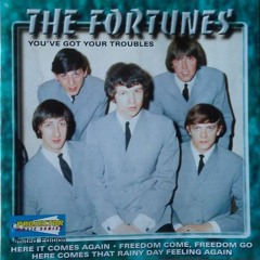You´ve Got Your Troubles - The Fortunes Cover