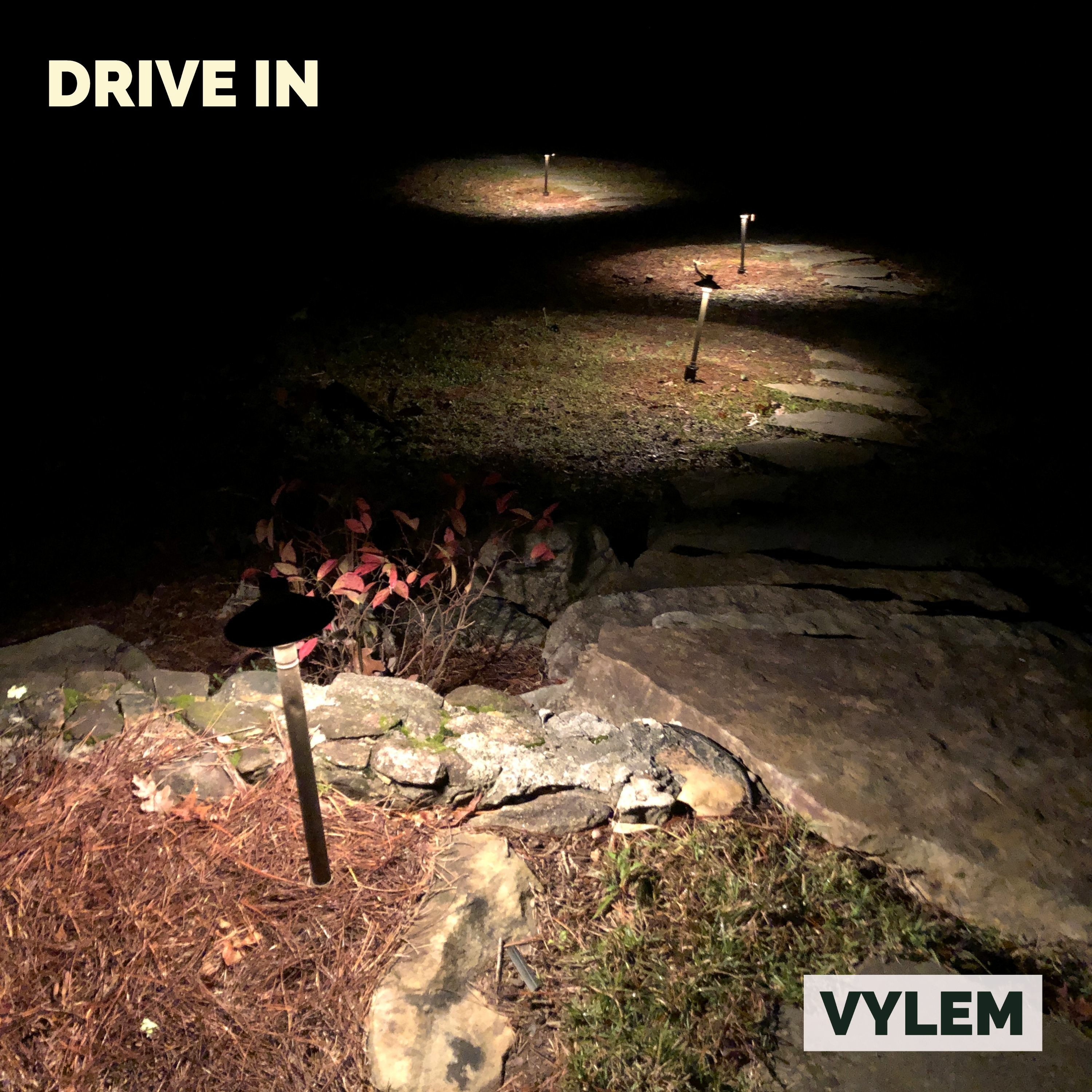 VYLEM