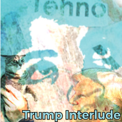 Trump Interlude
