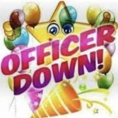 officer down (d3)