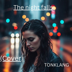 The night falls (Cover)