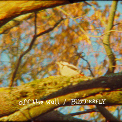 The New Tigers: Off the Wall