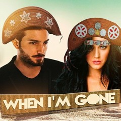 Alesso & Katy Perry - When I'm Gone (Piseiro)