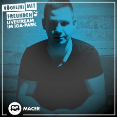 MaceR. • Vögel(n) mit Freunden meets Zwischenbau Rostock 05.09.2020