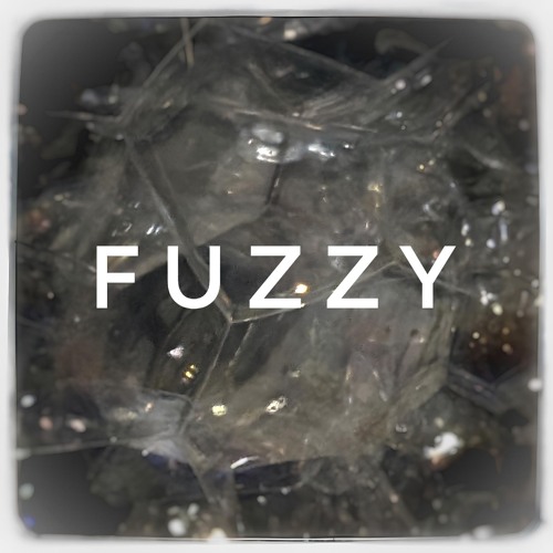 Fuzzy (instrumental)