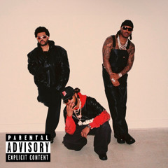 YOUNG METRO (HOT BOY SUMMER Remix)