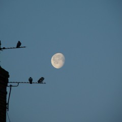 Sima01 -  Tudo é uma Passagem