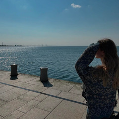 between the bars cover