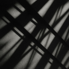 Shadowcode