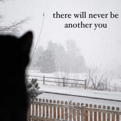 i wish i was better for you, im sorry