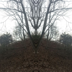 clues in the fog