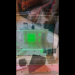 Cell 5